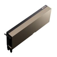    nVidia Tesla A100 OEM 80GB HBM2, PCIe x16 4.0, Dual Slot FHFL, Passive, 300W (900-21001-0020-100)