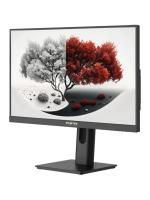������� RDW Computers 23.8" RDW2401K ������ IPS 4ms HDMI M/M HAS Piv 350cd 178��/178�� 1920x1080 VGA DP FHD USB (RUS)