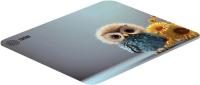 ������ ��� ���� Cactus Owl gray ������� 300x250x3�� (CS-MPC-D12M)
