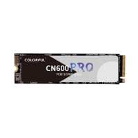 ������� ���� SSD Colorful 256Gb M.2 2280 PCI Express CN600 256GB PRO