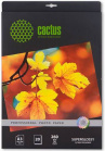  Cactus CS-HGA326020