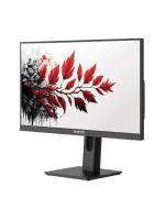 ������� RDW Computers 27" RDW2701K ������ IPS 5ms HDMI HAS Piv 300cd 178��/178�� 1920x1080 100Hz VGA DP FHD (RUS)