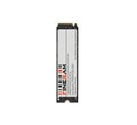 ���������� SSD Fineram FRM03 1Tb, M.2 2280 (FRM03Y02T01M2P)