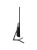 Монитор Digma 23.8" Progress 24P503F {IPS 1920x1080 100Hz 5ms 16:9 матовая 250cd 178/178 D-Sub HDMI DisplayPort M/M} Монитор Digma 23.8" Progress 24P503F {IPS 1920x1080 100Hz 5ms 16:9 матовая 250cd 178/178 D-Sub HDMI DisplayPort M/M}