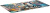 ������ ��� ���� Cactus Game Over 900x400x4�� (CS-MP-COR01XXL)