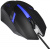 Мышь Exegate GML-17 Black лазерная, проводная, 1200 dpi, USB, цвет: чёрный Мышь Exegate GML-17 Black лазерная, проводная, 1200 dpi, USB, цвет: чёрный