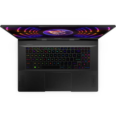  MSI Stealth 17 Studio A13VG-035RU, 17.3" (2560x1440) IPS 240/Intel Core i7-13700H/32 DDR5/2 SSD/GeForce RTX 4070 8/Windows 11 Home,  (9S7-17P311-035)