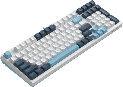 ���������� A4Tech Fstyler FS300 ������������ �����/����� USB for gamer LED (FS300 PANDA SNOWBOARDING)