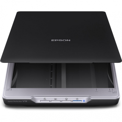 ������ EPSON Perfection V19