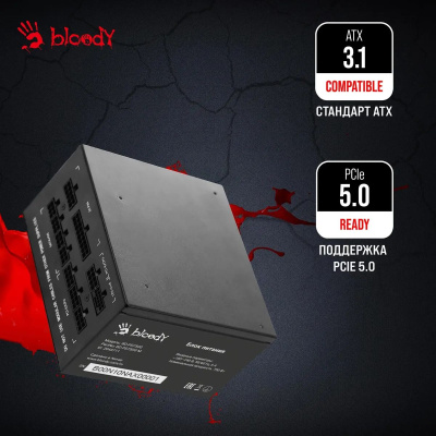 ���� ������� Bloody ATX 750W BD-PS750G 80+ gold (20+4pin) APFC 120mm fan 6xSATA Cab Manag RTL