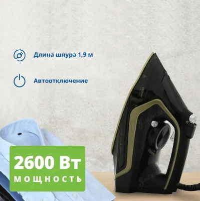  Zelmer ZIR3000 Stiro 