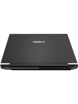  Hasee S8, 15.6" (1920x1080) IPS 144 /Intel Core i7-13620H/16  DDR4/512  SSD/NVIDIA GeForce RTX 4060   (8 )/ ,  (D63654FH)
