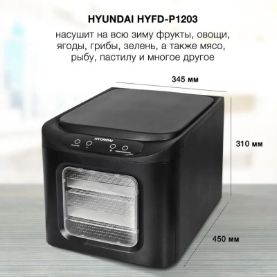 ����� ��� ������� � ������ Hyundai HYFD-P1203 12���. 500�� ������