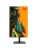 �������� iRU Tactio 24ID5, 24.5" (1920x1080) IPS/Intel Core i5-12400/16 DDR5/512 �� SSD/Intel UHD Graphics/Windows 11 Pro, ������ (2195972)