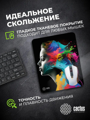 ������ ��� ���� Cactus Color paint 300x250x3�� (CS-MPC-D08M)