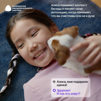 ����� ������� ������ ������� ���� 2 � ������, ��� �����, 6 ��, ������ YNDX-00028 ������� (YNDX-00028PNK)