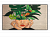 ������� 86" Philips 86BDL4511D