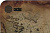������ ��� ���� Cactus Vintage map 250x200x3�� (CS-MP-D10S)