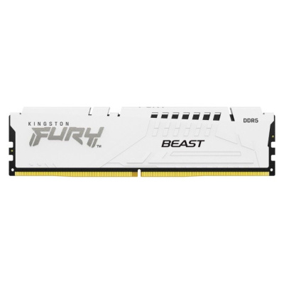 ����������� ������ Kingston FURY Beast White [KF552C40BW-16] 16 ��
