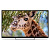  LED PolarLine 32" 32PL54TC-SM  