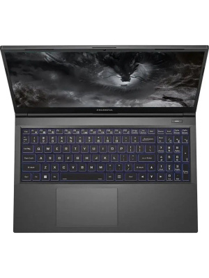 ������� Colorful X15 XS-HE55016512B-1EAA, 15.6" (1920x1080) IPS 144 ��/Intel Core i5-12450H/16 �� DDR4/512 �� SSD/NVIDIA GeForce RTX 3050 ��� ��������� (4 ��)/Windows 11 Home, ����� (A10207000035)