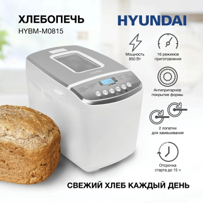  Hyundai HYBM-M0815 850 /