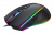 Мышь Acer OMW131 черный оптическая (6000dpi) USB (7but) Мышь Acer OMW131 черный оптическая (6000dpi) USB (7but)