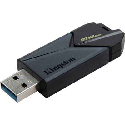 ���� ���� Kingston 256Gb DataTraveler Exodia Onyx DTXON/256GB USB3.2 ������