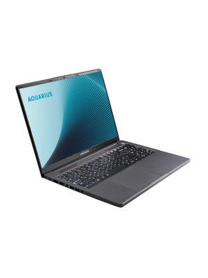 ������� AQUARIUS Cmp NE356, 16" (1920x1200) IPS/AMD Ryzen 5 6600H/16 �� DDR5/512 �� SSD/AMD Radeon Graphics/��� �������, ����� (RCNNE356153328S151SCN2TN NNNN2)