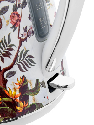 ������ BR6119 ����� BRAYER