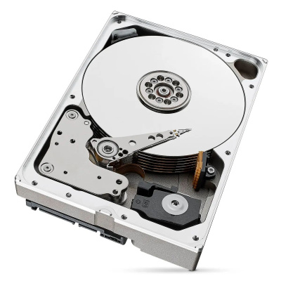   10Tb SATA-III Seagate Enterprise Capacity (ST10000NM0086)