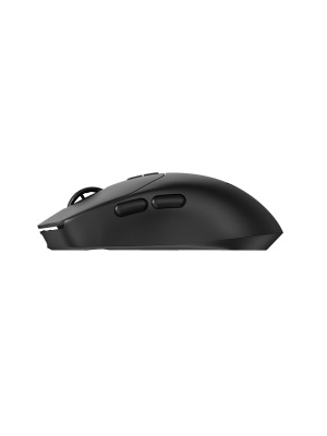 ������� ���� ���������/������������ RAPOO VT1 PRO, ���� - ������