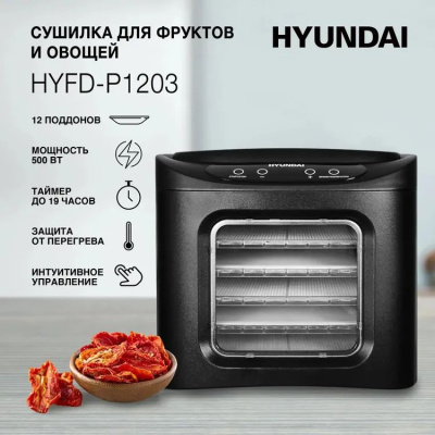 ����� ��� ������� � ������ Hyundai HYFD-P1203 12���. 500�� ������