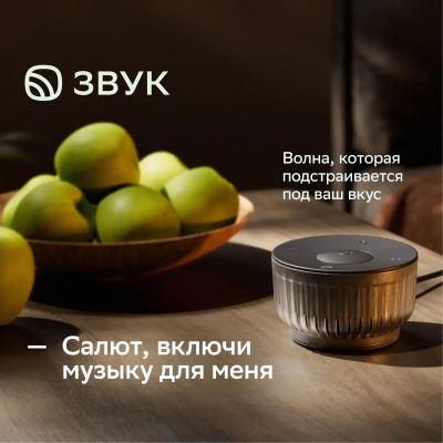����� ������� SBER Boom Mini 2 SBDV-00250Y, 5��, � �����, ������