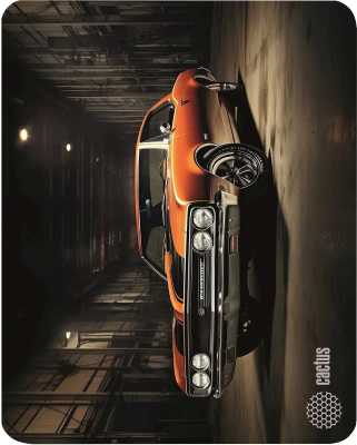 ������ ��� ���� Cactus Orange Car 300x250x2�� (CS-MP-P06M)
