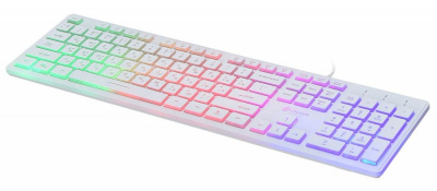 ���������� Oklick 550ML ����� USB slim LED (1061618)