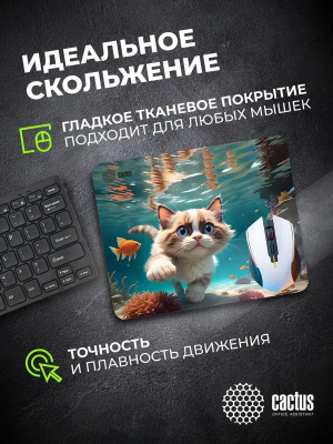 ������ ��� ���� Cactus Fish Cat ������� 300x250x3�� (CS-MPC-D15M)