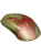 Мышь SteelSeries Wireless Gaming Mouse CS2 Dragon Lore Edition Мышь SteelSeries Wireless Gaming Mouse CS2 Dragon Lore Edition