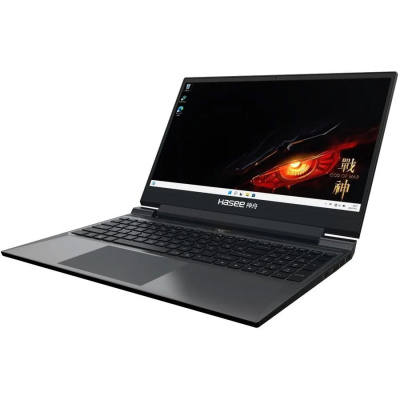  HASEE S8, 15.6" (1920x1080) IPS 144/Intel Core i7-12650H/16 DDR4/512 SSD/GeForce RTX 4060 8/ ,  (S8D62654FH)