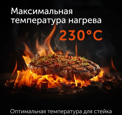 ������������ Red Solution G830D 2000�� ������