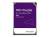   SATA  1TB WDC PURPLE WD11PURZ