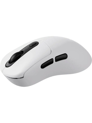 ������� ���� ���������/������������ RAPOO VT3 PRO, ���� - �����