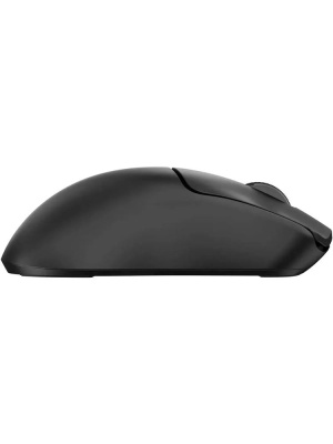 ���� Acer OMR312 ������ ���������� 3200dpi �������. BT/Radio USB 5but (ZL.MCECC.035)