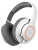 ��������� SteelSeries Siberia RAW Prism (61410) [������� ��������� � ����������, USB, Grey)