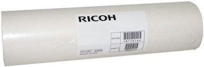  Ricoh 893529