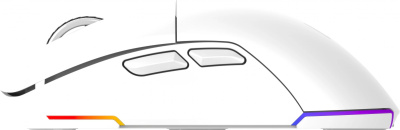 ���� ����� 900GMW ���������� 26000dpi �������. BT/Radio USB 6but, �����
