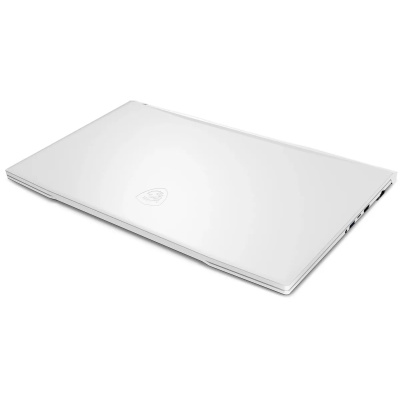  MSI Sword 17 A12VF-810XRU, 17.3" (1920x1080) IPS 144/Intel Core i7-12650H/32 DDR5/1 SSD/GeForce RTX 4060 8/ ,  (9S7-17L522-810)