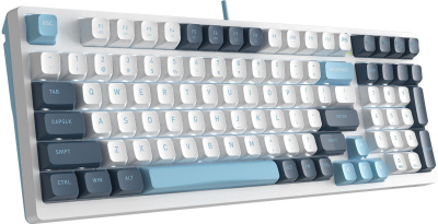 ���������� A4Tech Fstyler FS300 ������������ �����/����� USB for gamer LED (FS300 PANDA SNOWBOARDING)