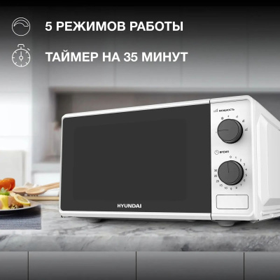 ������������� ���� Hyundai HYM-M2041 20�. 700�� �����