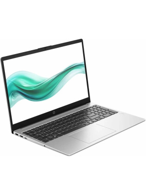������� HP 250R G10, 15.6" (1366x768) TN/Intel Core 3 100U/8 �� DDR4/512 �� SSD/Intel UHD Graphics/��� �������, ����������� (C91W6AT)